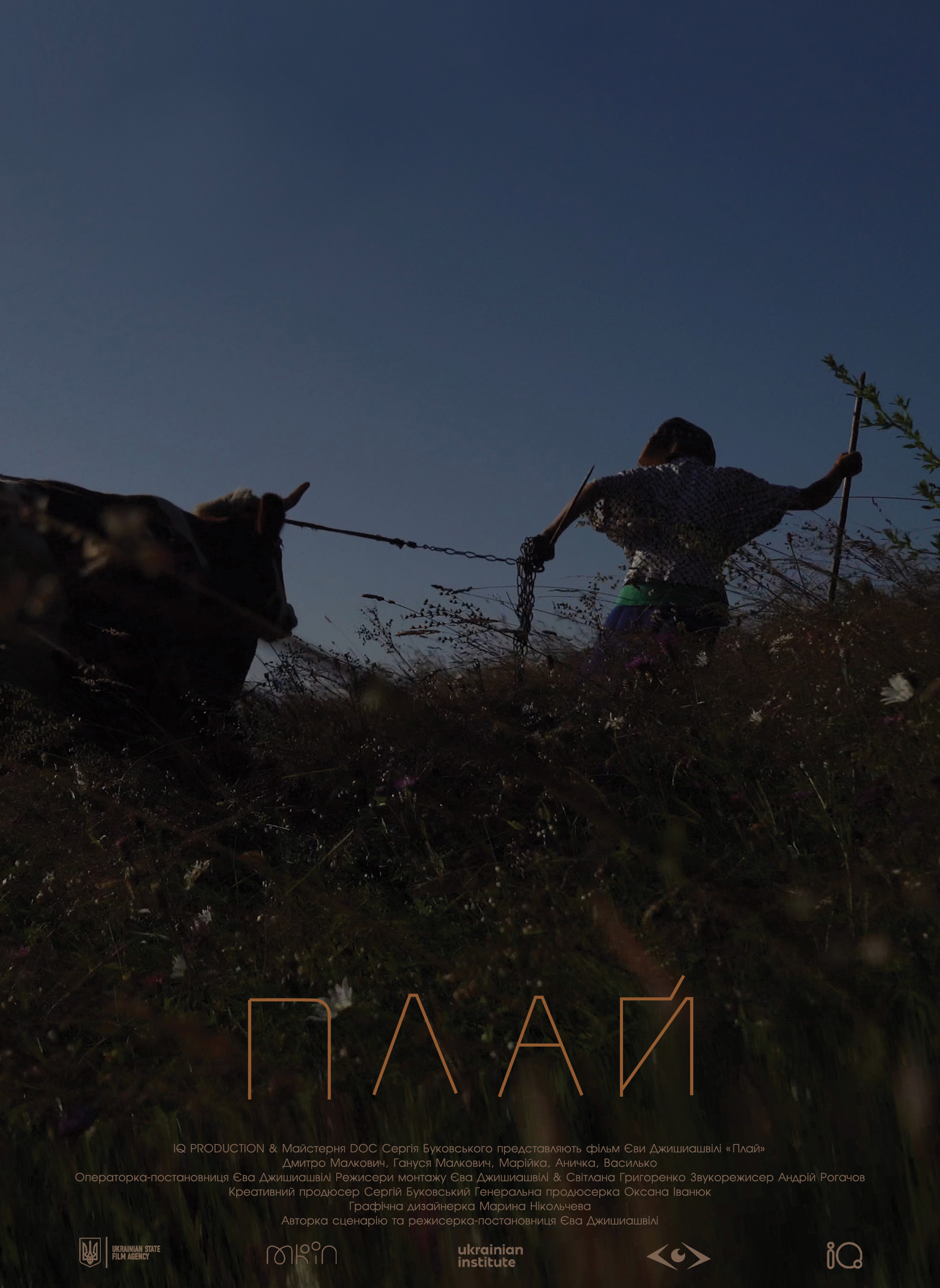 Стрічка Єви Джишиашвілі “Плай” перемогла у Національному конкурсі DOCU/УКРАЇНА фестивалю Docudays UA