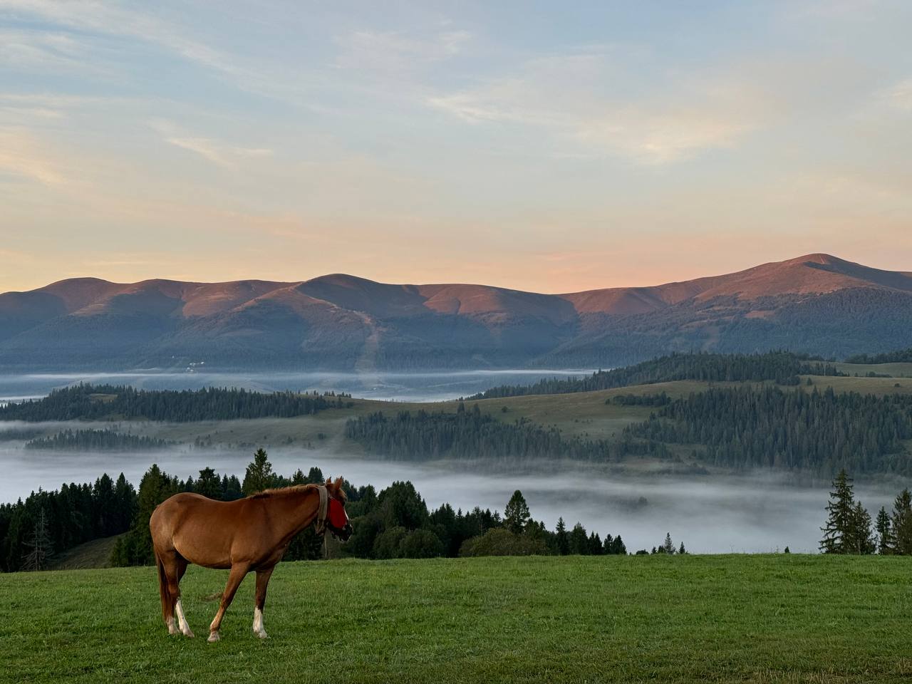 Перші кадри фільму «Відпустка наосліп» були презентовані на Венеційському міжнародному кінофестивалі.