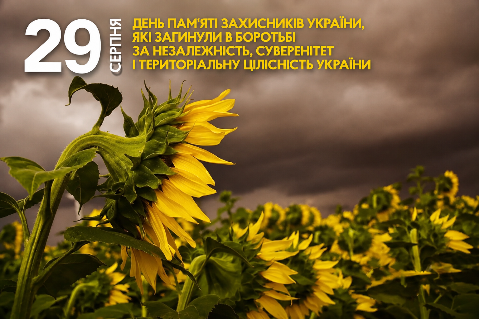 29 серпня — День пам’яті загиблих Захисників України
